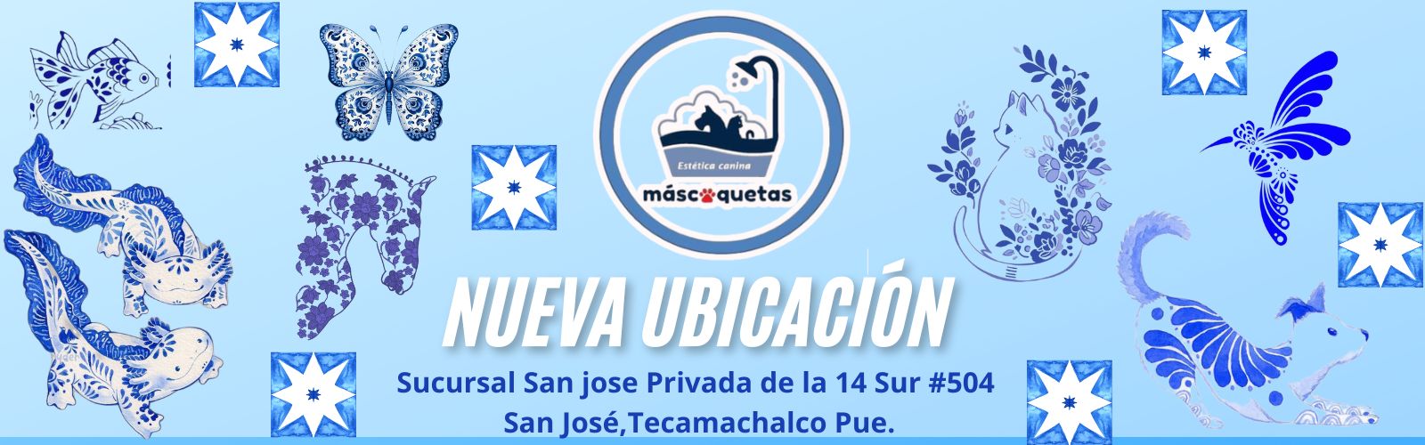 imagen2