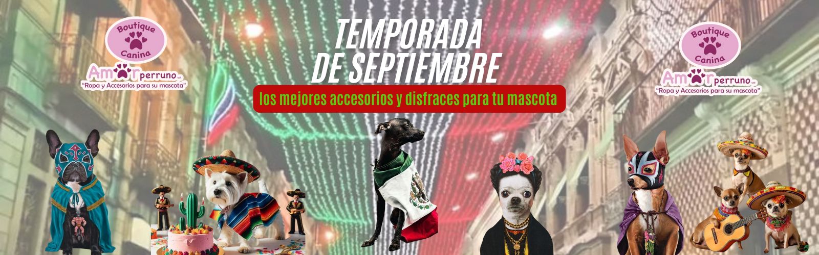 imagen1